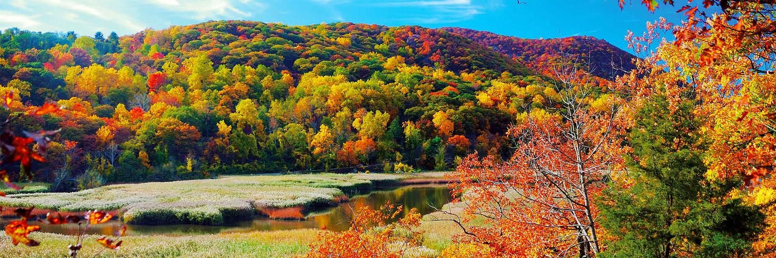 Wooded hills in bright fall color rising above a quiet river and marsh