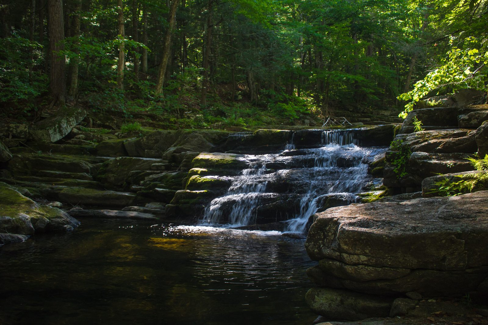 A small waterfall spilling over layered rock ledges in a shady green forest